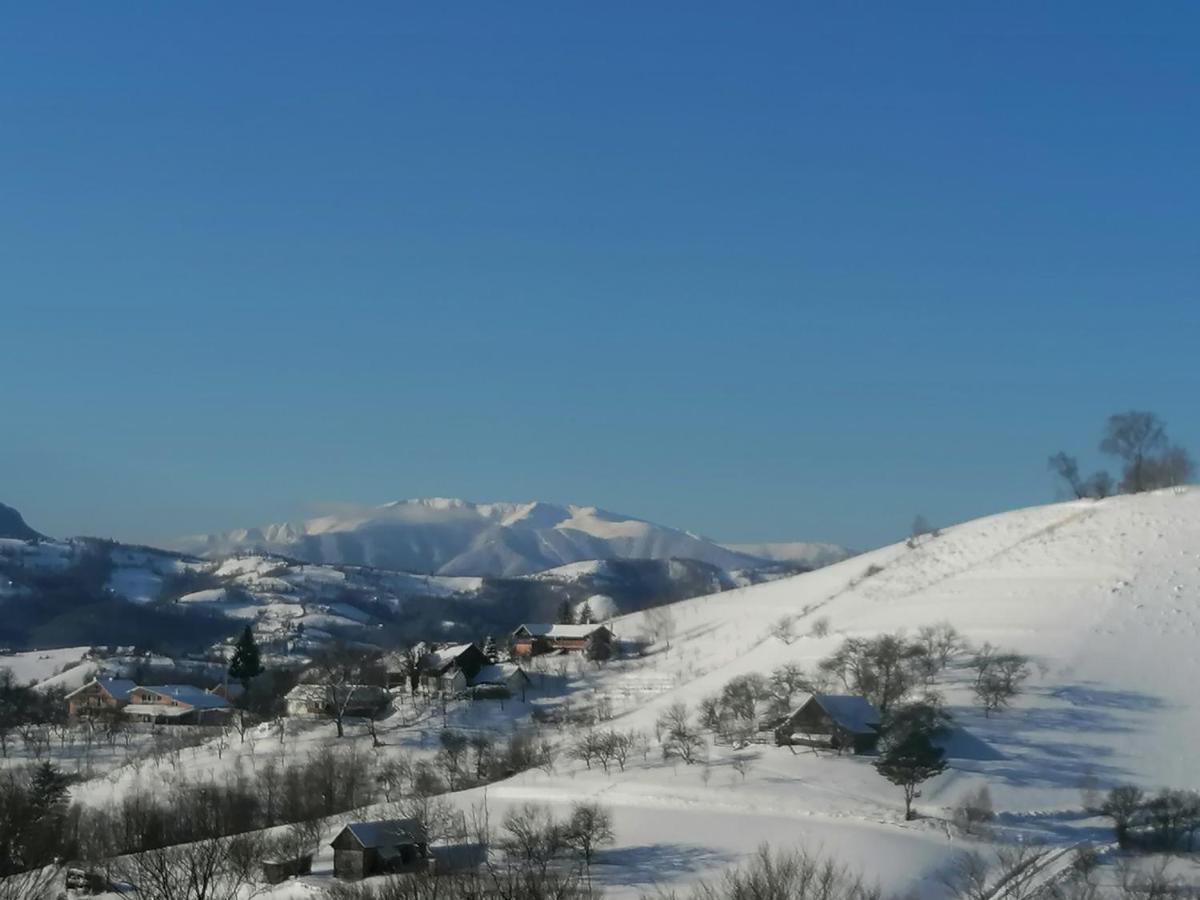 Poiana Mărului Conacul Eleneiヴィラ エクステリア 写真