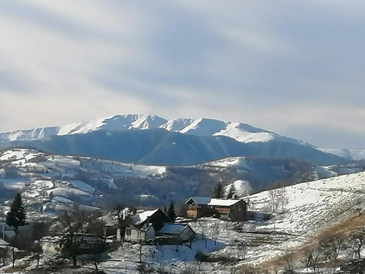 Poiana Mărului Conacul Eleneiヴィラ エクステリア 写真