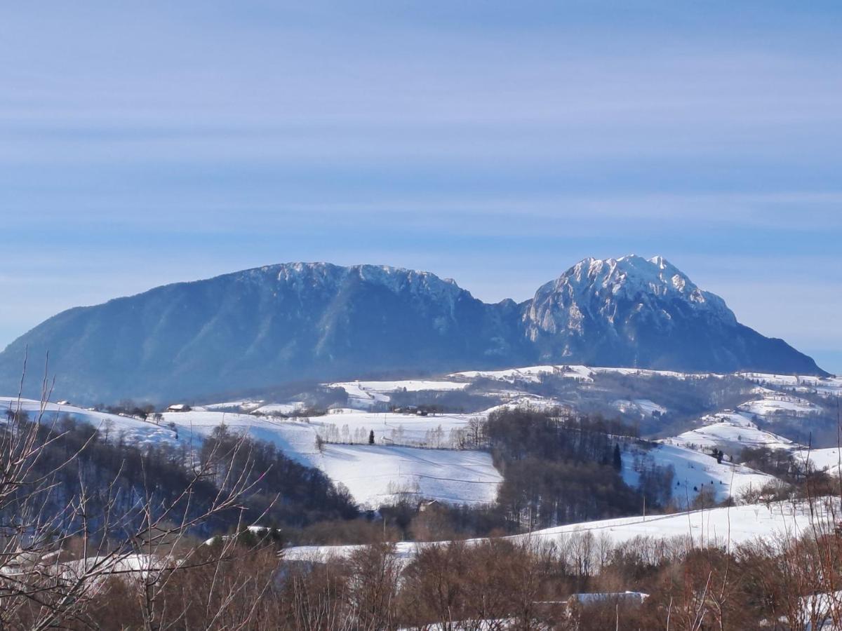 Poiana Mărului Conacul Eleneiヴィラ エクステリア 写真