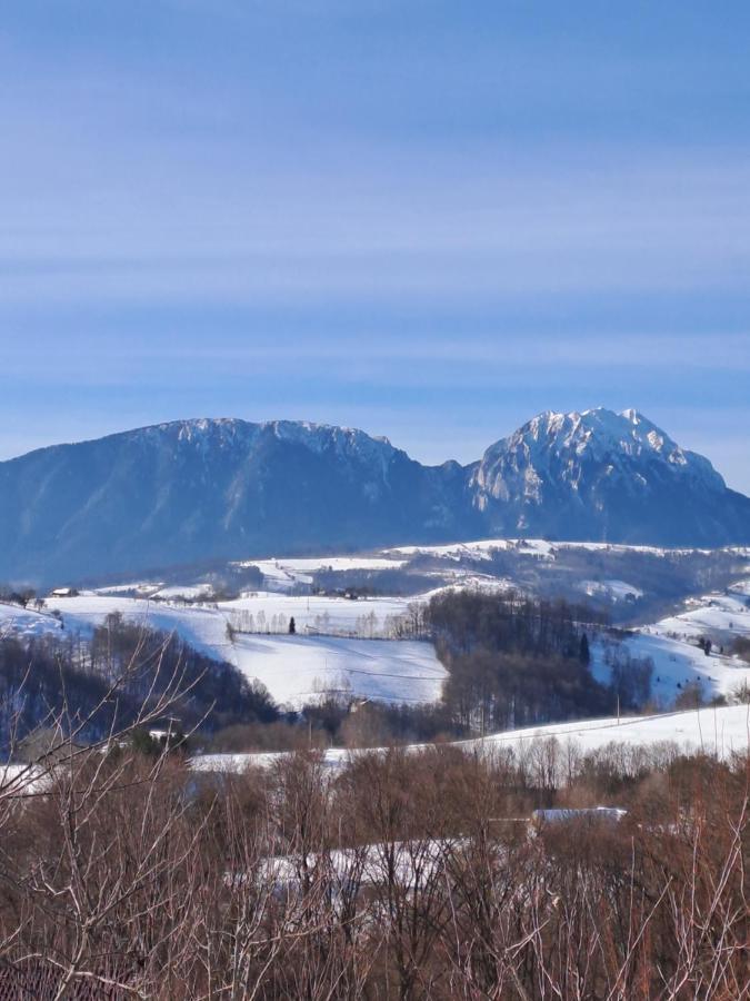 Poiana Mărului Conacul Eleneiヴィラ エクステリア 写真