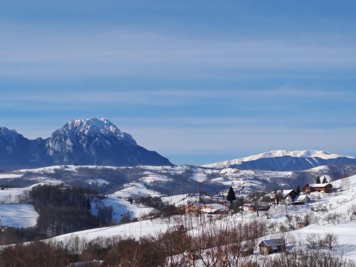 Poiana Mărului Conacul Eleneiヴィラ エクステリア 写真